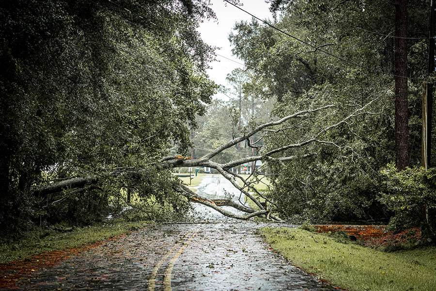 steps to take after a hurricane